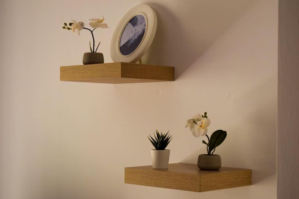 Jdc1K - Beautiful Apartment In City Centre Siviglia Esterno foto